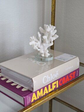 Faux White Coral Sculpture on Crystal Base